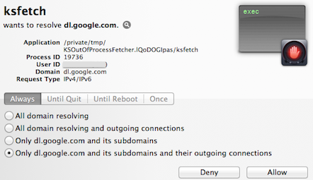 ksfetch wants to resolve dl.google.com